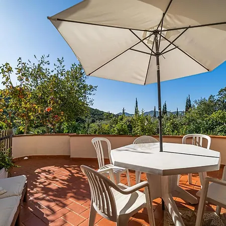 Filetto A Marina Di Campo