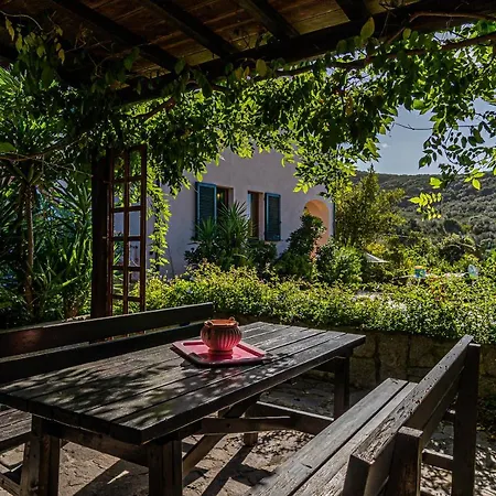 Filetto A Marina Di Campo * Literno