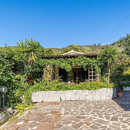 Filetto A Marina Di Campo