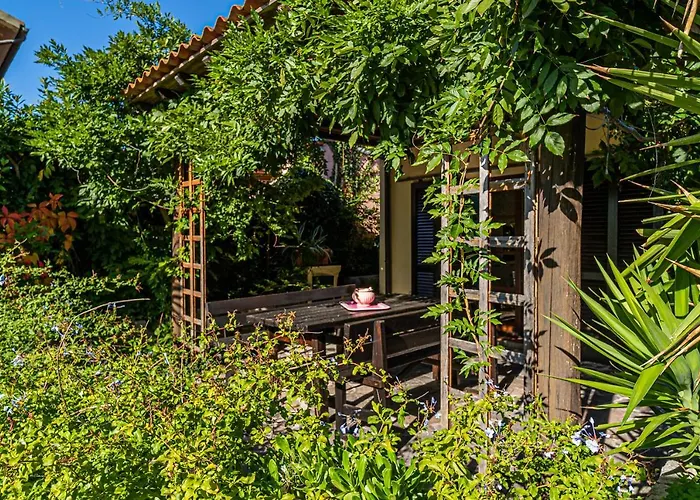 Filetto A Marina Di Campo