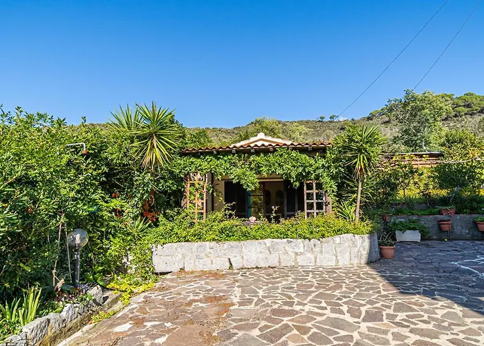 Filetto A Marina Di Campo