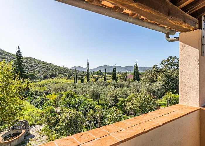 Filetto A Marina Di Campo Literno