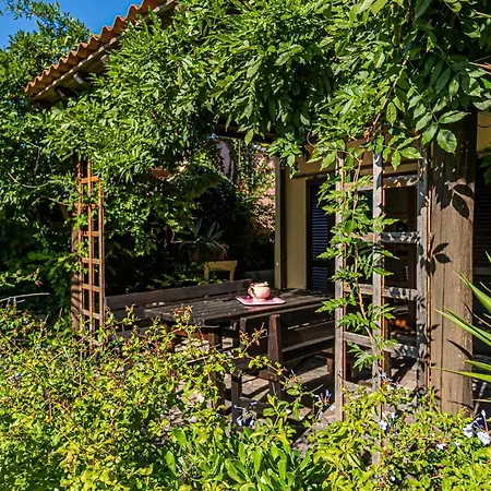 Filetto A Marina Di Campo