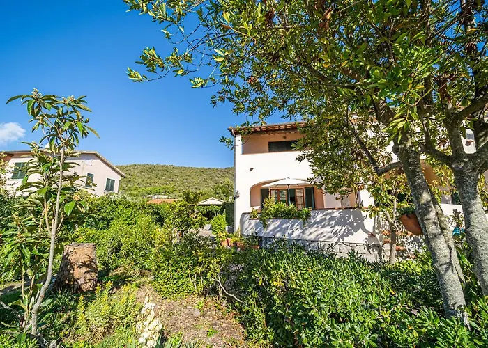 Filetto A Marina Di Campo